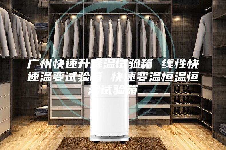 廣州快速升降溫試驗(yàn)箱 線性快速溫變試驗(yàn)箱 快速變溫恒溫恒濕試驗(yàn)箱