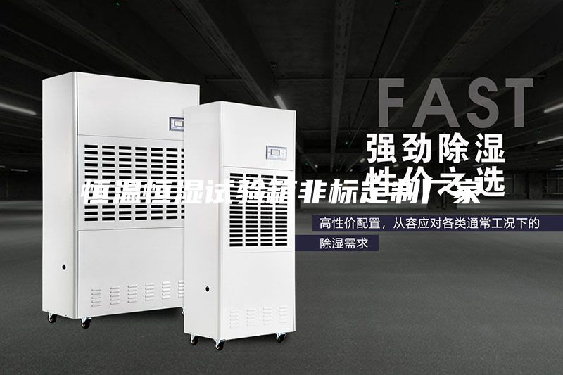恒溫恒濕試驗箱非標定制廠家