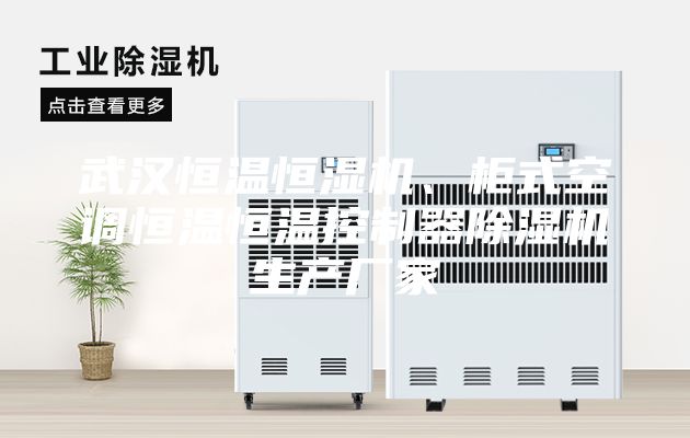 武漢恒溫恒濕機、柜式空調(diào)恒溫恒溫控制器除濕機生產(chǎn)廠家