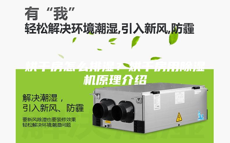 烘干房怎么排濕？烘干房用除濕機(jī)原理介紹