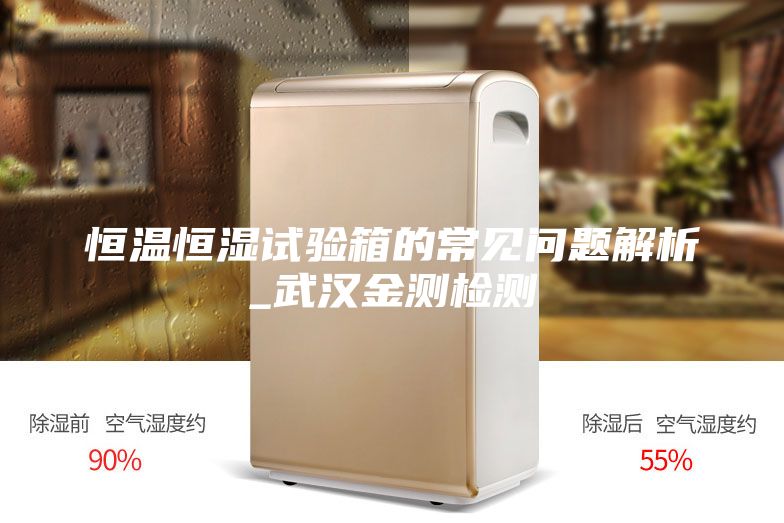 恒溫恒濕試驗(yàn)箱的常見(jiàn)問(wèn)題解析_武漢金測(cè)檢測(cè)